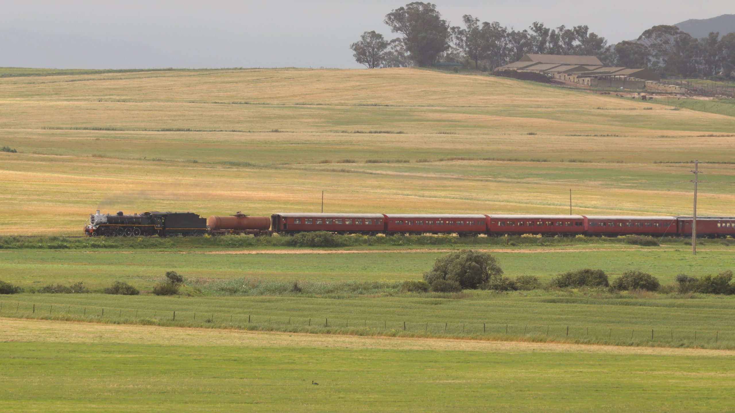 A vintage steam train travels through open grassy fields.