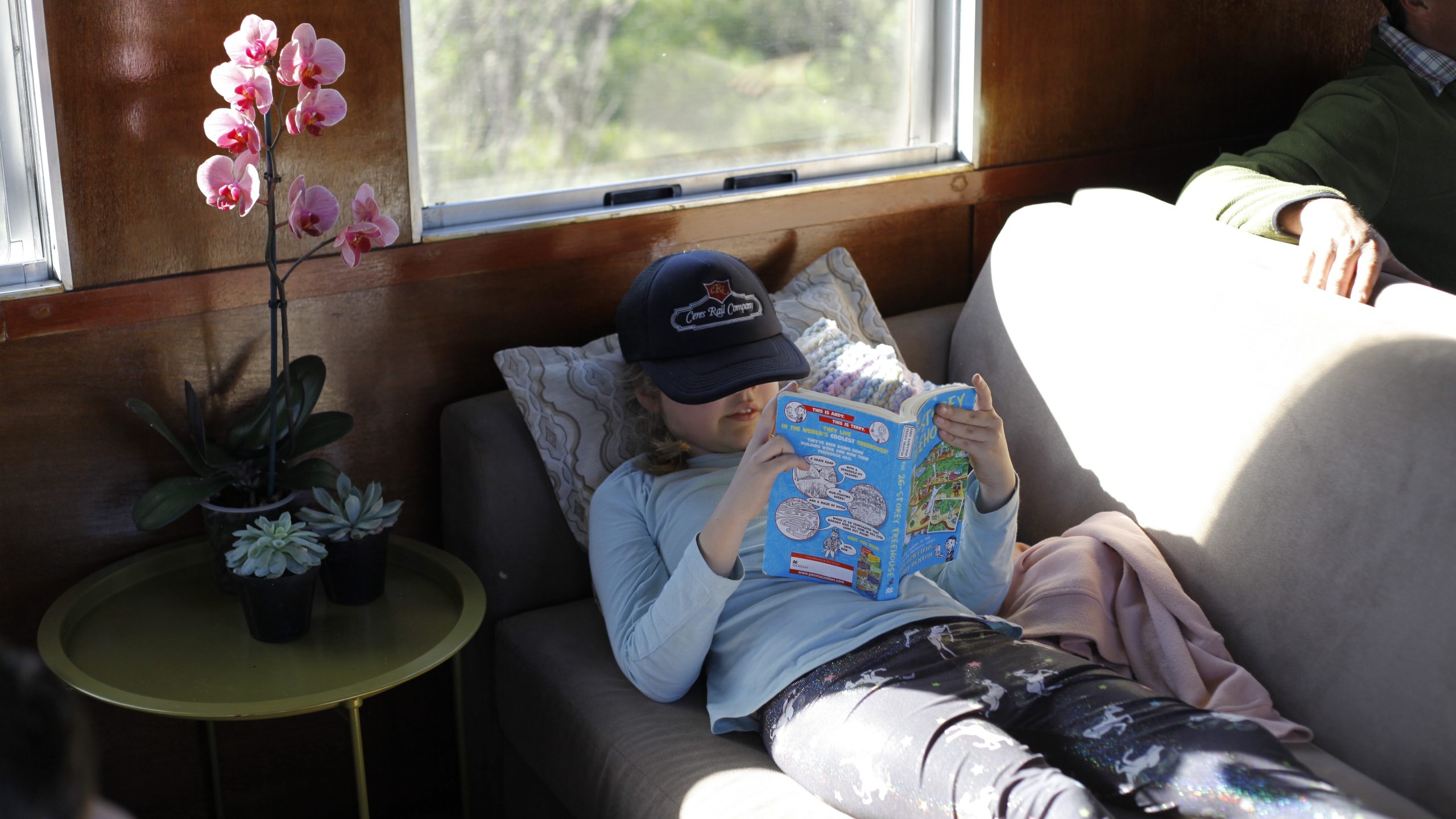 Child reading on a couch with a pink orchid and succulents nearby.