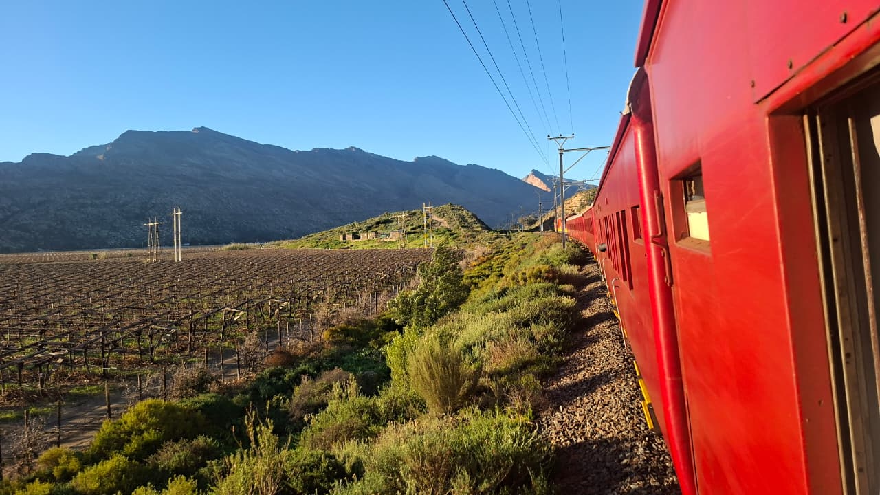 Red train on track beside vineyard with mountain backdrop.
