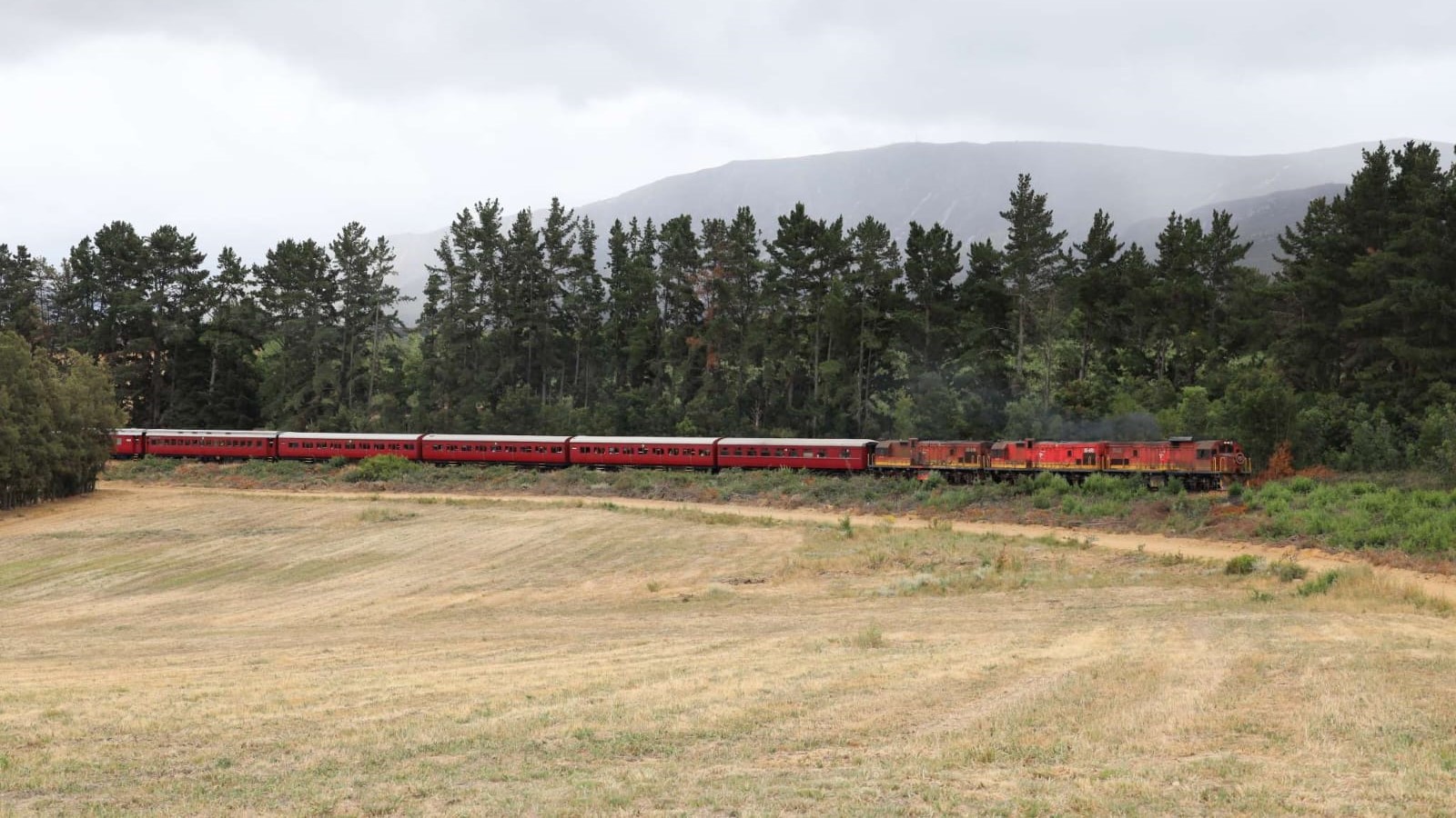 Red train passing through a grassy field with trees in the background.