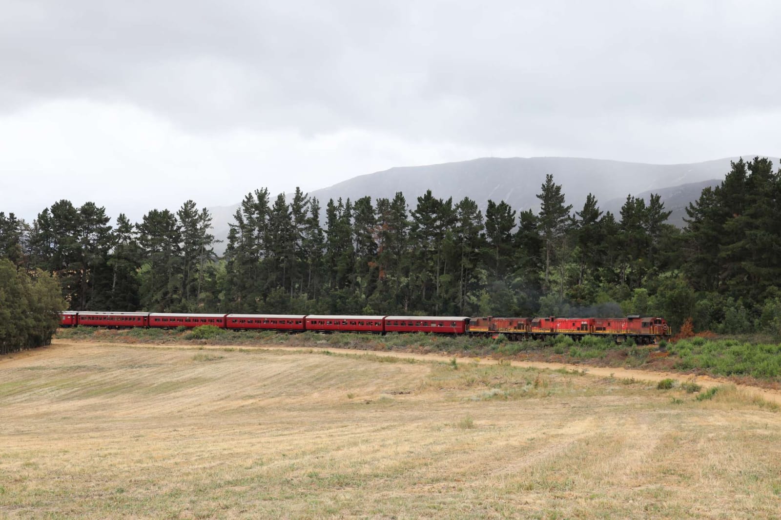 Red train traveling through a grassy field with trees and mountains in the background.