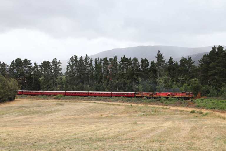 Red train traveling through a grassy field with trees and mountains in the background.