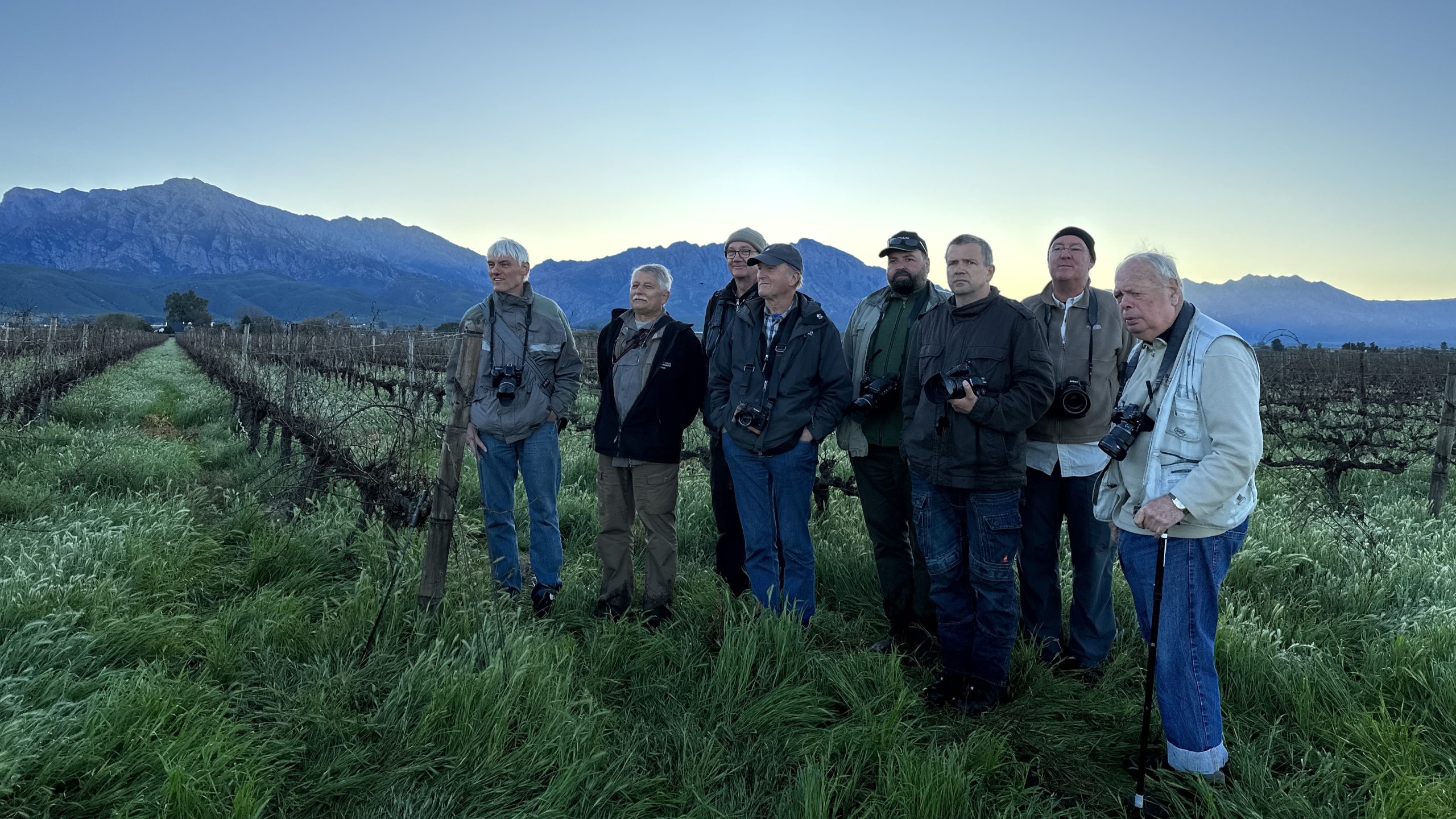 Seven men with cameras stand in a vineyard at sunrise.