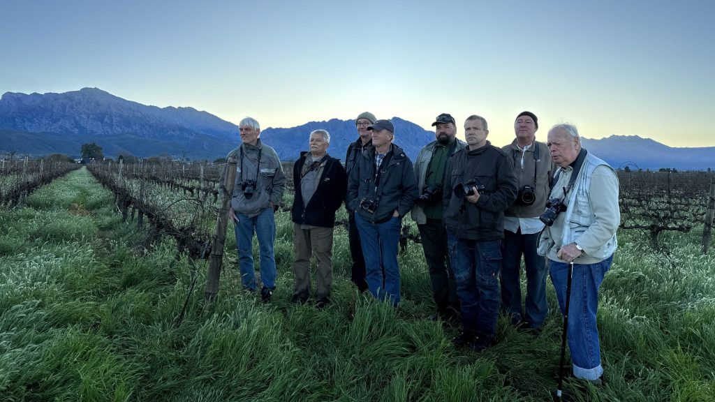 Seven people with cameras stand in a vineyard at sunrise with mountains in the background.